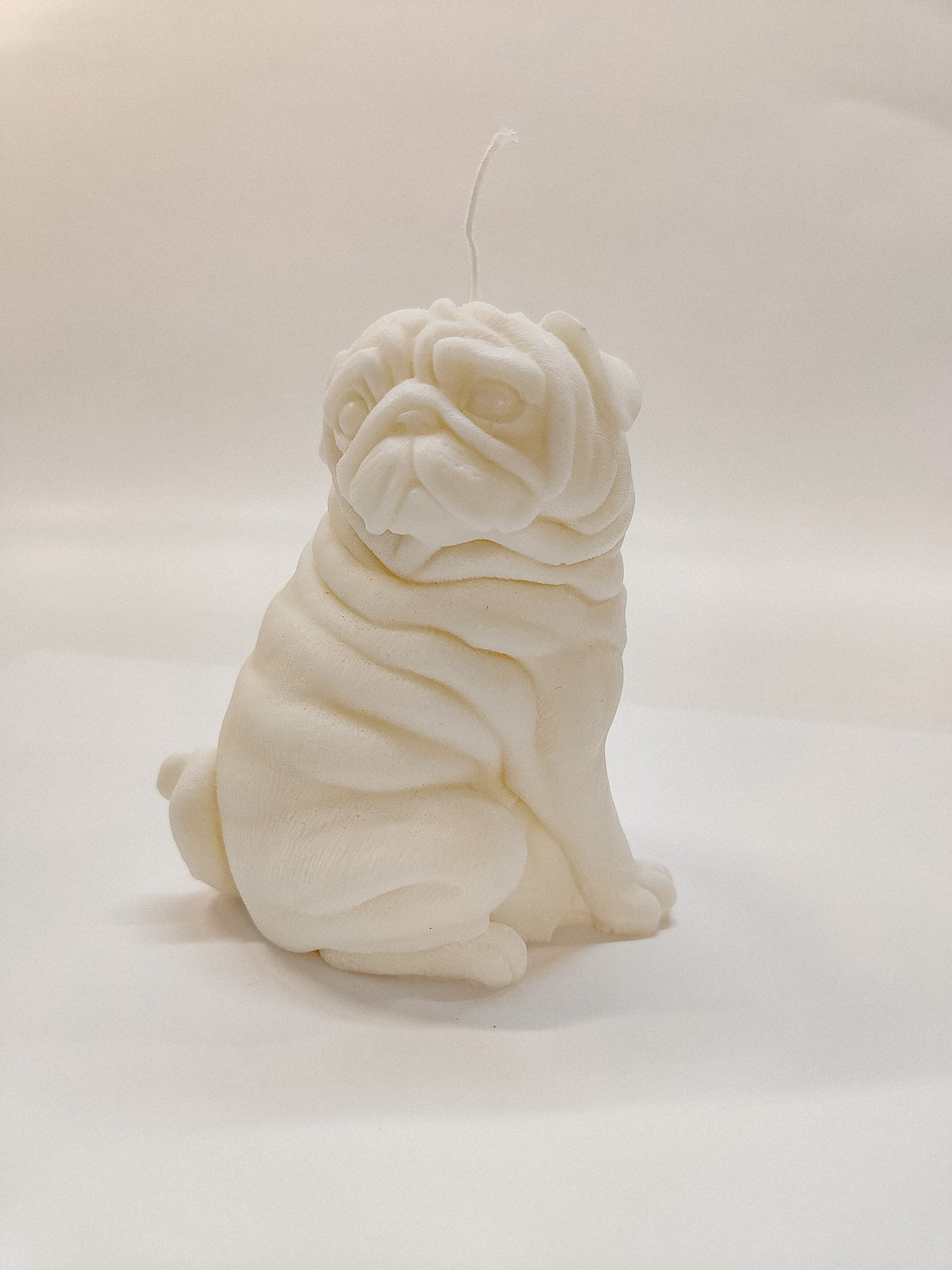 Pug