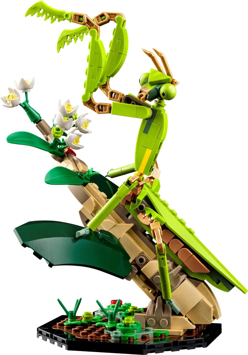 LEGO Ideas 21342 - De Insectencollectie