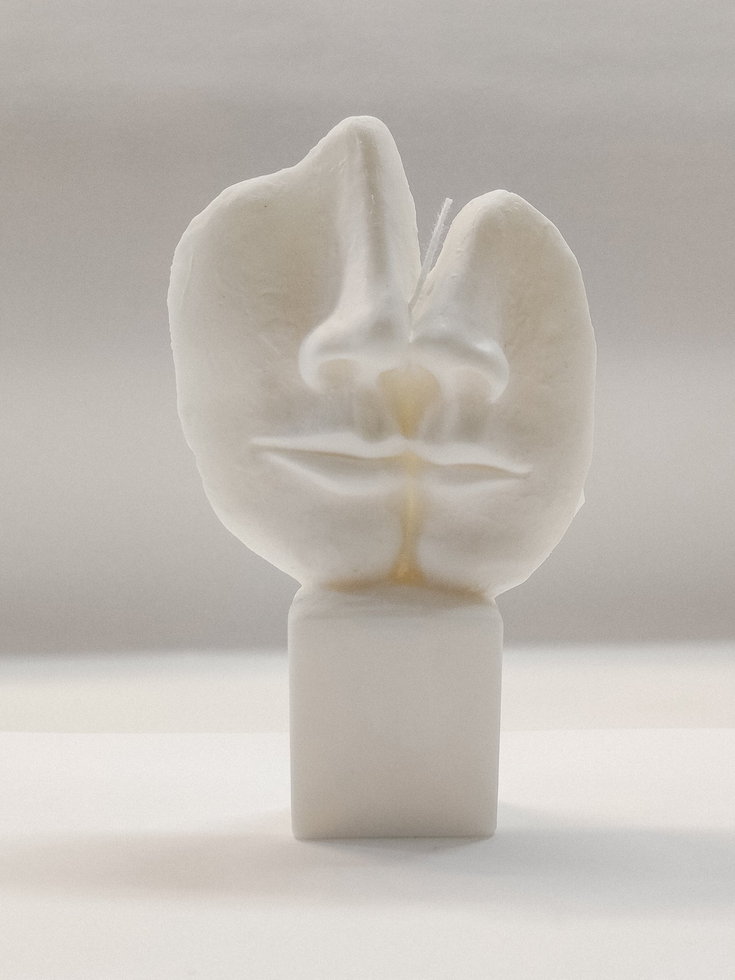 Faces kaars